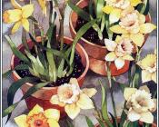 Garden Gatherings - 亚历克西斯·锡布鲁克